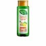 Shampoo Purificante Naturvital Eco Limone Zenzero (300 ml)
