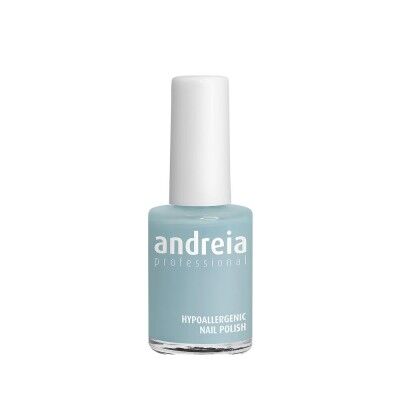 Nail polish Andreia Professional Hypoallergenic Nº 107 (14 ml)