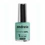 nail polish Andreia Hybrid Fusion H47 (10,5 ml)
