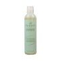 Shampoo Inahsi Soothing Mint Gentle Cleansing