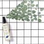 Anti-odour hair spray Phyto Paris Phytodetox Refreshing (150 ml)