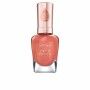 Vernis à ongles Sally Hansen Color Therapy Nº 300 14,7 ml