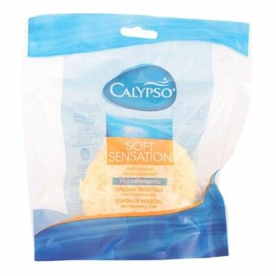 Körperschwamm Calypso Calypso