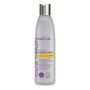 Colour Protecting Conditioner Blue Violet Anti-Yellow Effect Kativa (250 ml)