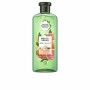 Shampoo Herbal Bio Renew Brillante Pompelmo 400 ml