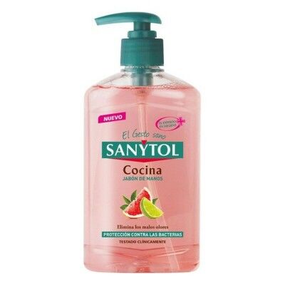 Sapone Liquido Mani con Dosatore Antibacterias Kitchen Sanytol 280120 (250 ml) 250 ml