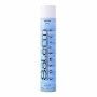 Haarspray Festiger Hair Spray Salerm (650 ml)