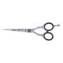 Hair scissors Loyal Eurostil CORTE MICRODENTADA 5,5"