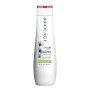 Shampooing Colorlast Biolage E2978700 Violet 250 ml