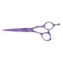 Hair scissors Amatist 5.5" Eurostil CORTE 5.5"