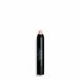 Concealer Stick Shiseido 17568 4,3 g L