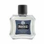 After Shave Balsam Proraso Blue (100 ml)
