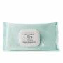 Make Up Remover Wipes Byphasse Toallitas Desmaquillantes Aloe Vera (40 uds)