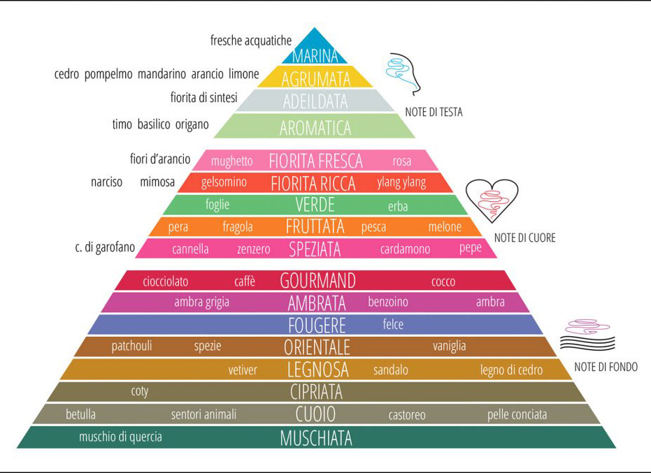 piramide olfattiva